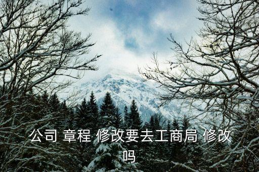 修改公司章程公告,關(guān)于修改公司章程的決議、決定