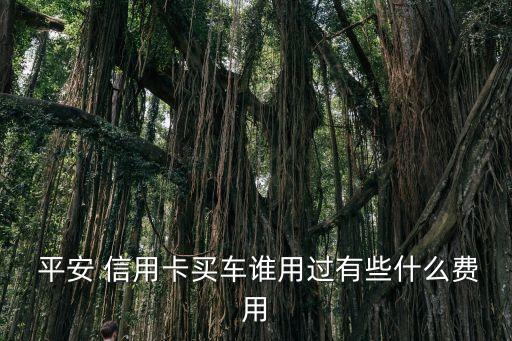 平安銀行信用卡購(gòu)車(chē)分期手續(xù)費(fèi)