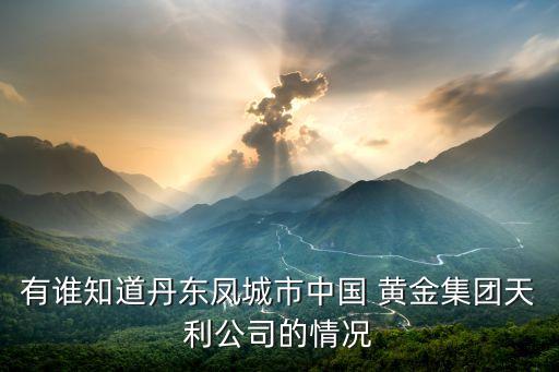 有誰知道丹東鳳城市中國(guó) 黃金集團(tuán)天利公司的情況