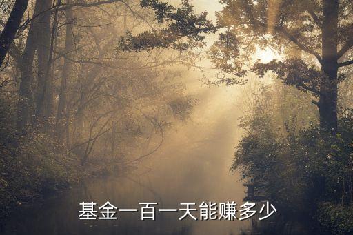 100元基金理財(cái),基金和理財(cái)哪個更安全