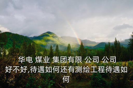  華電 煤業(yè) 集團(tuán)有限 公司 公司好不好,待遇如何還有測繪工程待遇如何