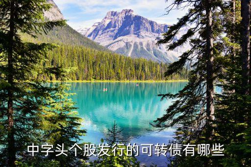 中字頭個股發(fā)行的可轉(zhuǎn)債有哪些