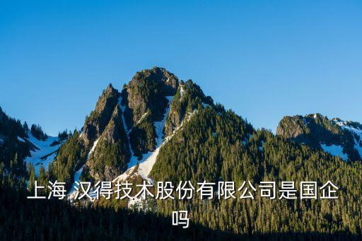 上海 漢得技術股份有限公司是國企嗎