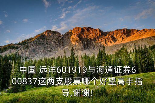 中國 遠洋601919與海通證券600837這兩支股票哪個好望高手指導,謝謝!