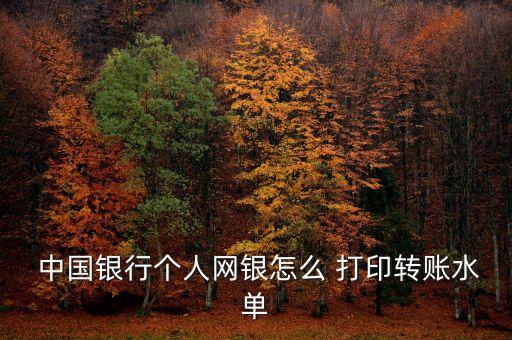  中國銀行個人網(wǎng)銀怎么 打印轉(zhuǎn)賬水單
