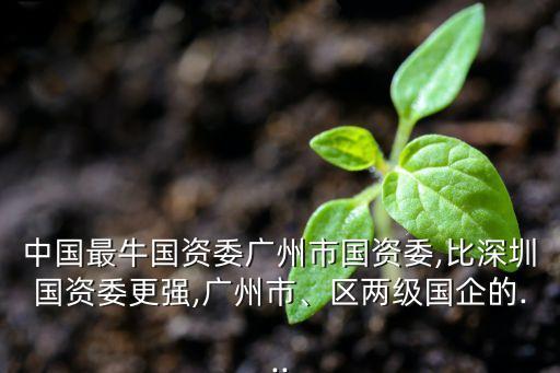 中國最牛國資委廣州市國資委,比深圳國資委更強(qiáng),廣州市、區(qū)兩級(jí)國企的...