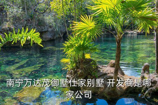南寧萬(wàn)達(dá)茂御墅仕家別墅 開發(fā)商是哪家公司