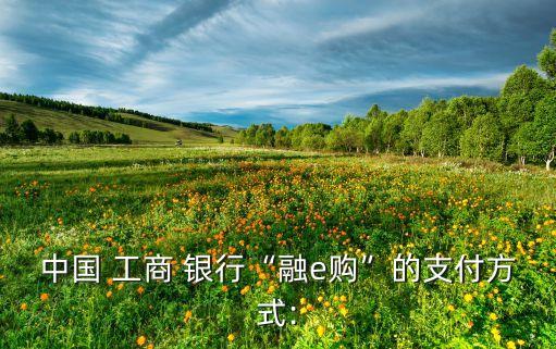 中國 工商 銀行“融e購”的支付方式: