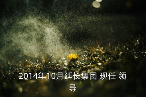 2014年10月延長集團 現(xiàn)任 領(lǐng)導