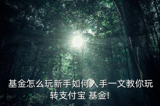  基金怎么玩新手如何入手一文教你玩轉支付寶 基金!