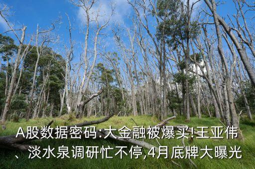 A股數(shù)據(jù)密碼:大金融被爆買!王亞偉、淡水泉調研忙不停,4月底牌大曝光