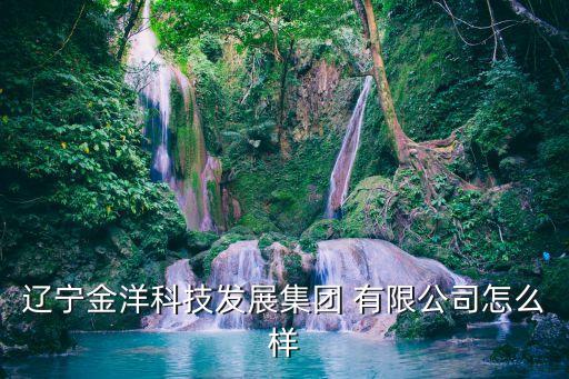 遼寧金洋科技發(fā)展集團 有限公司怎么樣