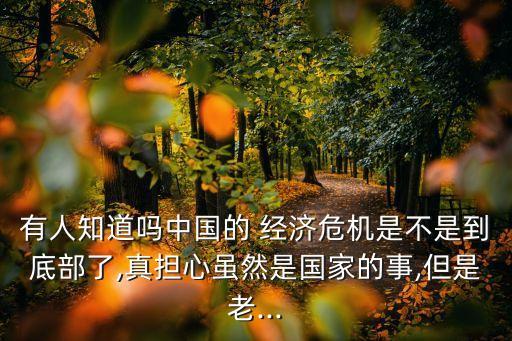 有人知道嗎中國的 經(jīng)濟(jì)危機是不是到底部了,真擔(dān)心雖然是國家的事,但是老...