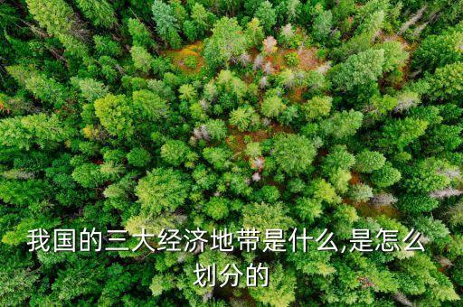 我國的三大經(jīng)濟地帶是什么,是怎么 劃分的