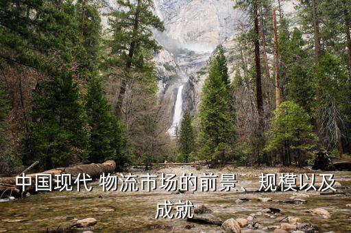 中國現(xiàn)代 物流市場的前景、規(guī)模以及成就