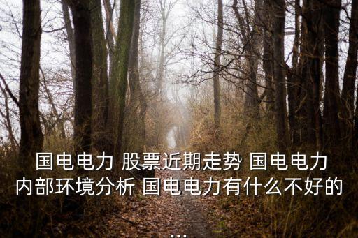  國電電力 股票近期走勢 國電電力內部環(huán)境分析 國電電力有什么不好的...