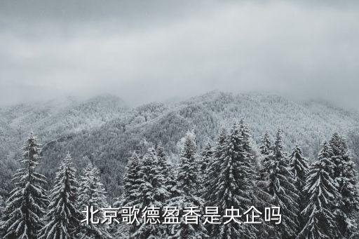 北京金盞金融服務區(qū)項目建議書