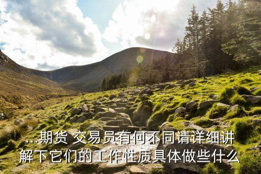...期貨 交易員有何不同請詳細(xì)講解下它們的工作性質(zhì)具體做些什么