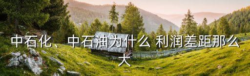 中石化、中石油為什么 利潤(rùn)差距那么大