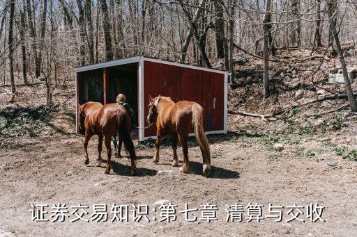 證券交易知識(shí):第七章 清算與交收