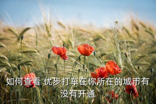 上海出租車(chē)優(yōu)步,出租車(chē)計(jì)步幾公里