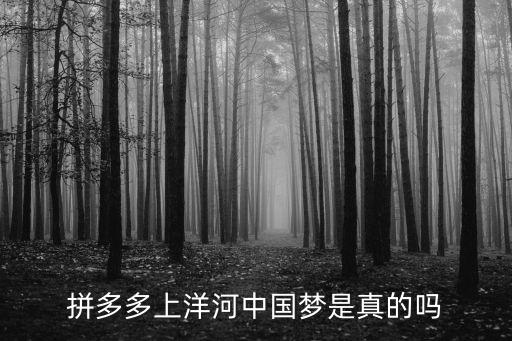 拼多多上洋河中國(guó)夢(mèng)是真的嗎