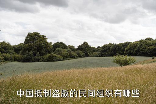 中國(guó)不保護(hù)版權(quán),保護(hù)版權(quán)繪畫作品
