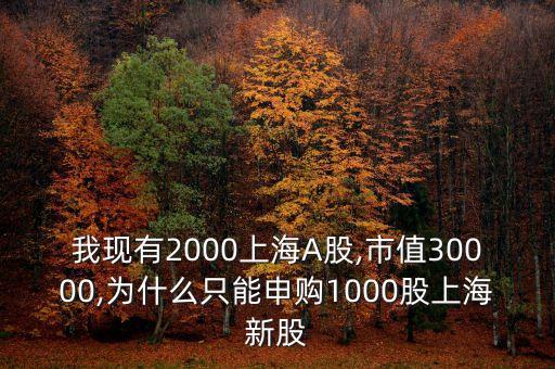 我現(xiàn)有2000上海A股,市值30000,為什么只能申購(gòu)1000股上海新股