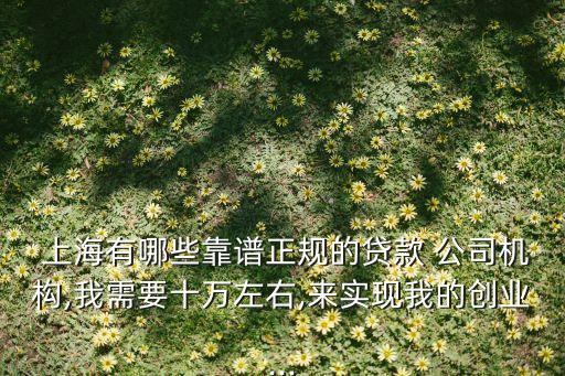  上海有哪些靠譜正規(guī)的貸款 公司機(jī)構(gòu),我需要十萬左右,來實現(xiàn)我的創(chuàng)業(yè)...