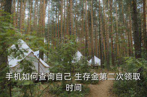 手機(jī)如何查詢(xún)自己 生存金第二次領(lǐng)取時(shí)間