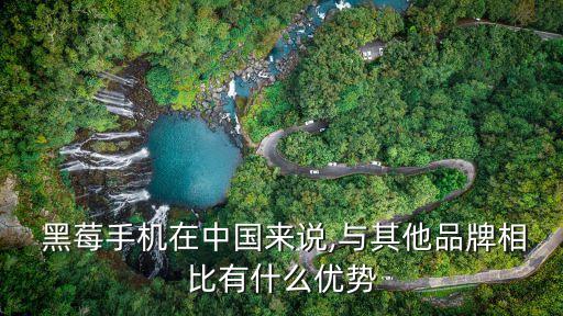  黑莓手機(jī)在中國(guó)來(lái)說,與其他品牌相比有什么優(yōu)勢(shì)