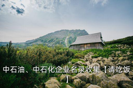 中石油、中石化企業(yè)名錄收集【請(qǐng)吃飯】