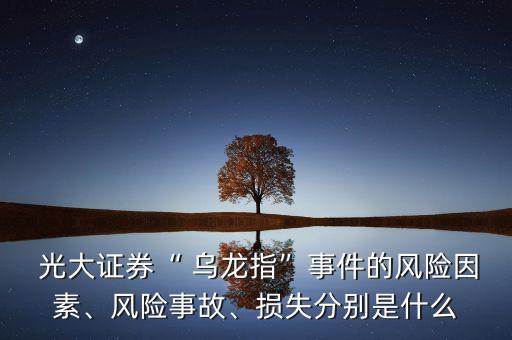  光大證券“ 烏龍指”事件的風(fēng)險因素、風(fēng)險事故、損失分別是什么