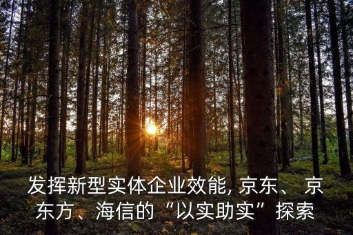 發(fā)揮新型實體企業(yè)效能, 京東、 京東方、海信的“以實助實”探索