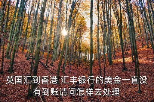 英國(guó)匯到香港 匯豐銀行的美金一直沒有到賬請(qǐng)問怎樣去處理