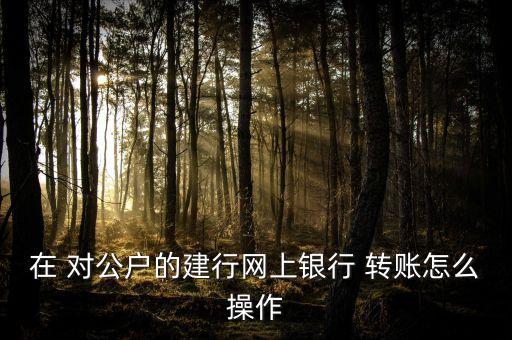 在 對公戶的建行網(wǎng)上銀行 轉賬怎么操作