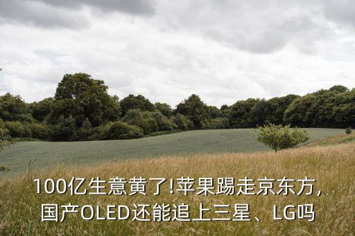 100億生意黃了!蘋果踢走京東方,國產(chǎn)OLED還能追上三星、LG嗎