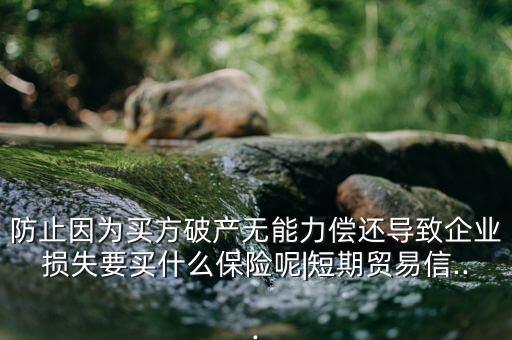 防止因?yàn)橘I方破產(chǎn)無能力償還導(dǎo)致企業(yè)損失要買什么保險呢|短期貿(mào)易信...