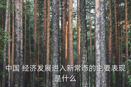 中國經(jīng)濟崛起的表現(xiàn),大崛起:中國經(jīng)濟的增長與轉型