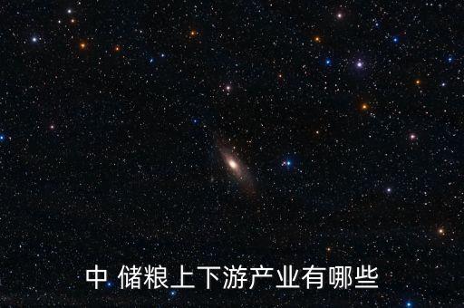 中儲(chǔ)糧物流公司張東升,鲅魚(yú)圈中儲(chǔ)糧張東升