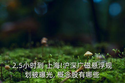 上?？萍紕?chuàng)新中心概念股,科技創(chuàng)新概念股有哪些