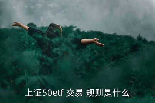 基金交易規(guī)則及特點,511360基金交易規(guī)則
