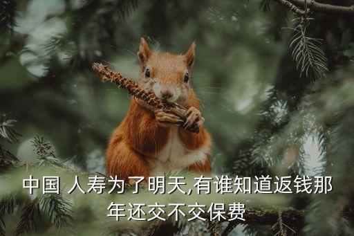 中國(guó) 人壽為了明天,有誰(shuí)知道返錢(qián)那年還交不交保費(fèi)