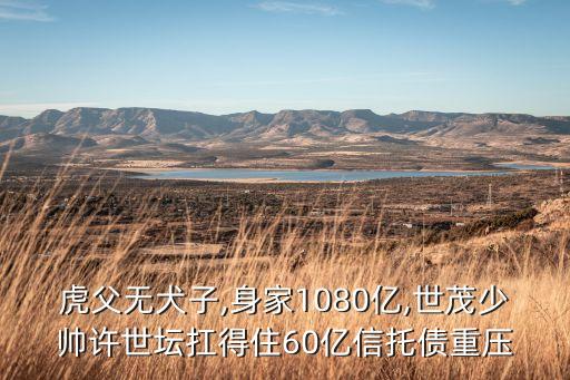 世貿集團深圳市政府