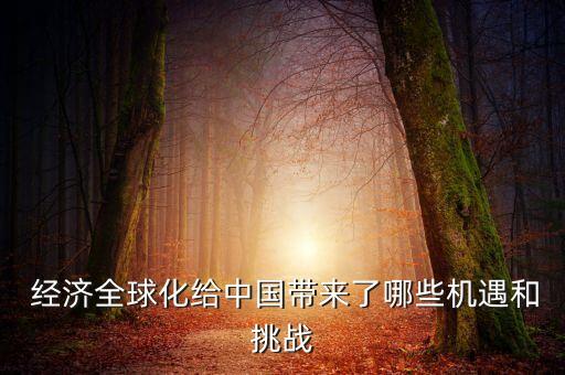  經(jīng)濟(jì)全球化給中國(guó)帶來了哪些機(jī)遇和挑戰(zhàn)
