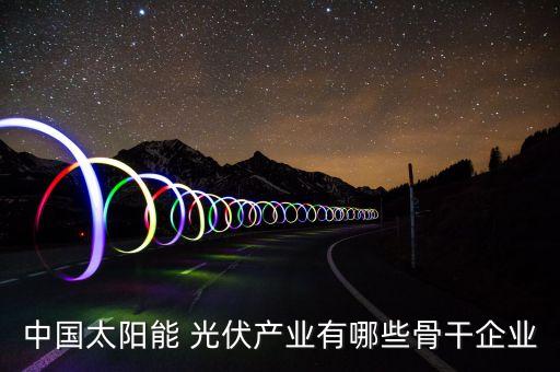 中國(guó)太陽能 光伏產(chǎn)業(yè)有哪些骨干企業(yè)