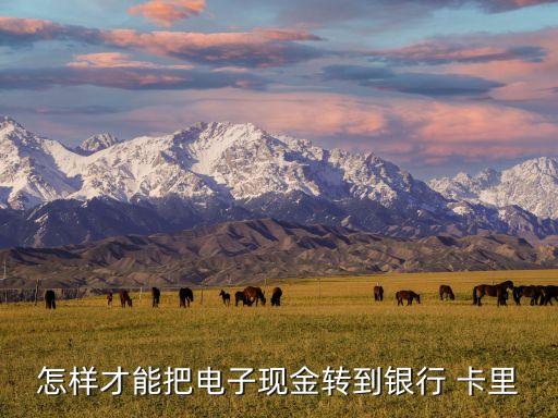 怎樣才能把電子現(xiàn)金轉到銀行 卡里