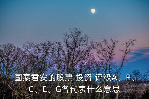 國泰君安的股票 投資 評級A、B、C、E、G各代表什么意思