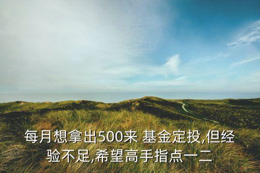 每月想拿出500來 基金定投,但經(jīng)驗不足,希望高手指點(diǎn)一二