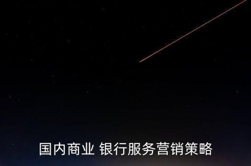國內(nèi)商業(yè) 銀行服務營銷策略